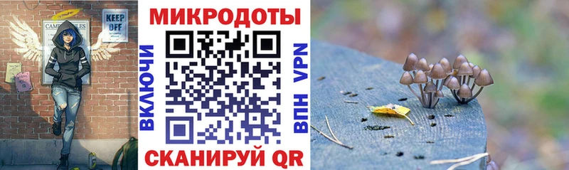 Купить закладки  Белово  Псилоцибиновые грибы GOLDEN TEACHER 